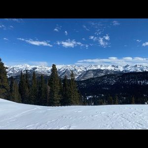 Meet your Posher, Austin